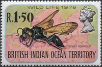 [Insects, 유형 BU]