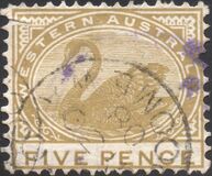 [Black Swan - New Designs, type M2]
