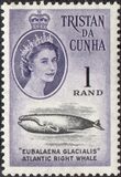 [Queen Elizabeth II and Marine Life, प्रकार AO1]