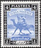 [Camel Postman - New Arabic Inscription, type R2]