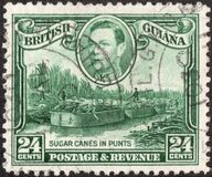 [Local Motives, type BB]