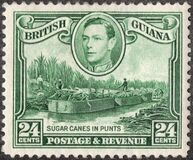 [Local Motives, type BB]