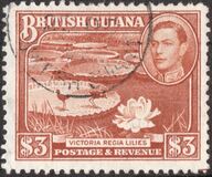 [Local Motives, type BI]