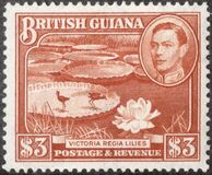 [Local Motives, type BI1]