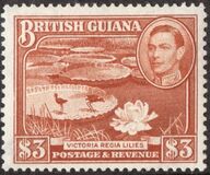 [Local Motives, type BI1]