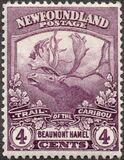 [Newfoundland Troops in the World War I, type BZ2]