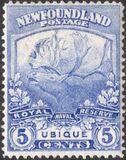 [Newfoundland Troops in the World War I, type CA1]