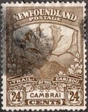 [Newfoundland Troops in the World War I, type BZ7]