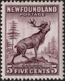 [Newfoundland Issue, ประเภท DS]