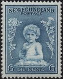 [Newfoundland Issue, ประเภท DT]