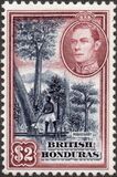 [King George V, type AM]
