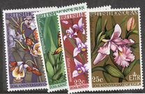 [Orchids, тип CT]