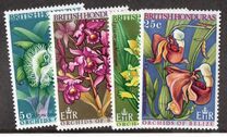 [Orchids of Belize, סוג DL]