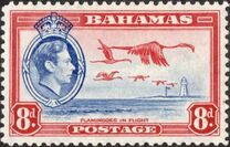 [King George VI, प्रकार Y]
