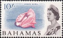 [Local Motives & Queen Elizabeth, tyyppi CM]