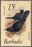 [Birds, Вид OW]