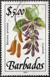 [Wild Plants, Tipi WD]