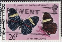 [Butterflies of Belize, type S]