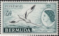 [Royal Visit - As White-tailed Tropicbird but Inscribed "ROYAL VISIT 1953", type BO]
