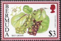[Flowering Fruits, type UN]