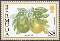 [Flowering Fruits, type TO]