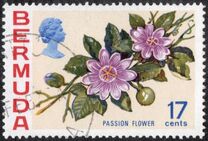 [Flowers, type GN]
