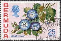 [Flowers, type GP]