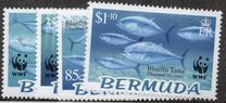 [Endangered Species - Bluefin Tuna, type ABV]
