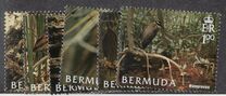 [Bermuda Habitats - Scenes from Dioramas in Bermuda Natural History Museum, type ACQ]