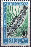[Airmail - Uruguayan Marine Fauna, タイプ UJ]