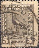[Southern Lapwing, වර්ගය FO]