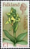 [Flowers, type DA]