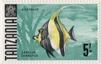[Marine Life - Fish, type AD]