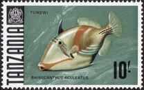 [Marine Life - Fish, type AE]