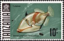 [Marine Life - Fish, type AE]
