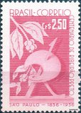 [The 100th Anniversary of the City of Ribeirao Preto, type AHF]