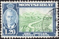 [Local Motifs & King George VI, type AF]