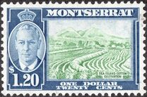 [Local Motifs & King George VI, type AF]