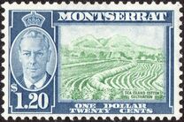 [Local Motifs & King George VI, type AF]