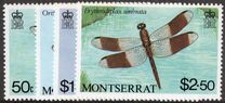 [Dragonflies, Вид NC]