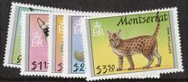 [Cats, type YP]