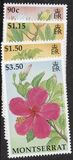 [Hibiscus Flowers and Fruits, type ABI]