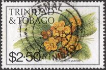 [Flowers - Without Imprint, tegund MT]