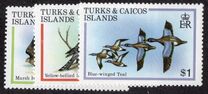 [Exotic Birds, type KV]