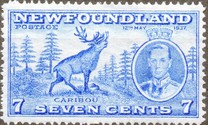 [King George VI`s Coronation, Typ FD]