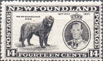 [King George VI`s Coronation, Typ FG]