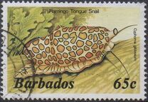[Marine Life, Tipi RU]