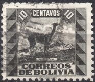 [Fauna boliviana., tipo CW]