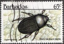 [Insects, type WX]