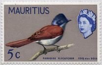 [Birds & Elizabeth II, Typ CY]